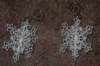 fsl_3d_snowflakes_021514_3_small.jpg