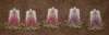 fsl_fslangels120912_small.jpg