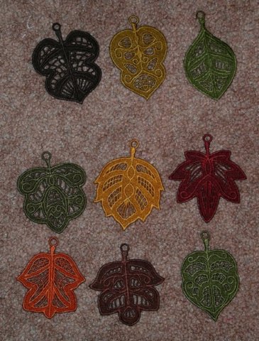 fsl_fslfallleaves092311.jpg