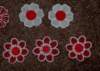 fsl_fslflowers031611_2_small.jpg
