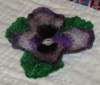 fsl_violet_011214_small.jpg