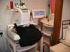 sewingroom_070814_small.jpg