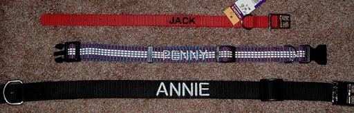 miscellaneous_dogcollarskerry1210.jpg