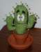 pincushion_cactus_081618_1_front_small.jpg