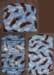 zipperbags_es_clearviewcase2010_small.jpg